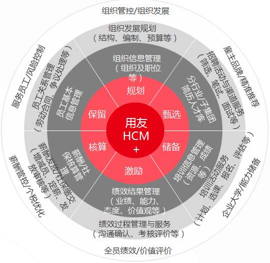 ceiba软件下载